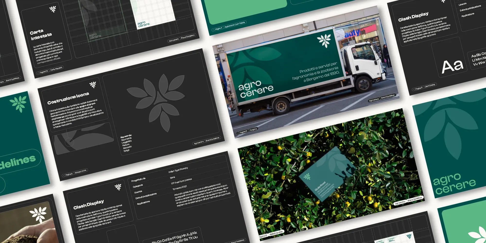 Brand identity completa Agrocerere con immagine coordinata per settore agronomia e zootecnia