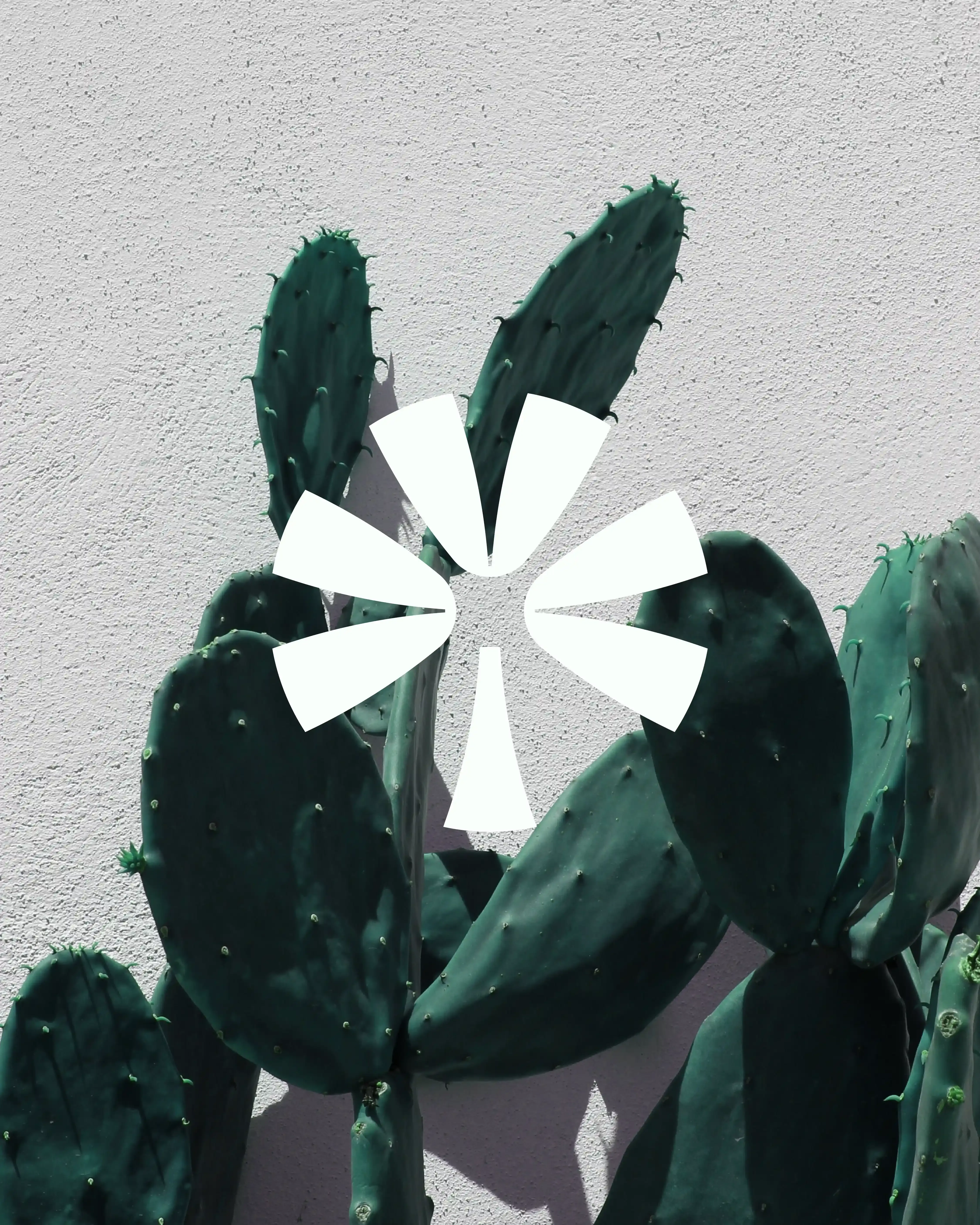 Business Garden - immagine sezione 1