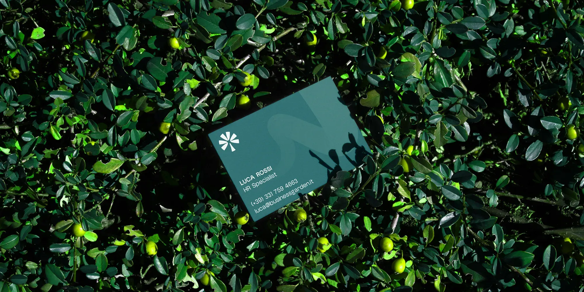 Anteprima progetto Business Garden