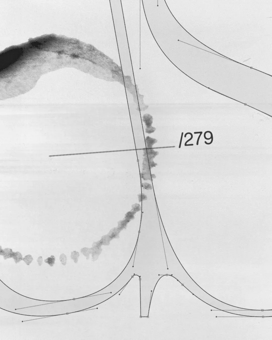 Filari di vite della cantina Le Margheride per lo storytelling di marca e il design delle etichette vino