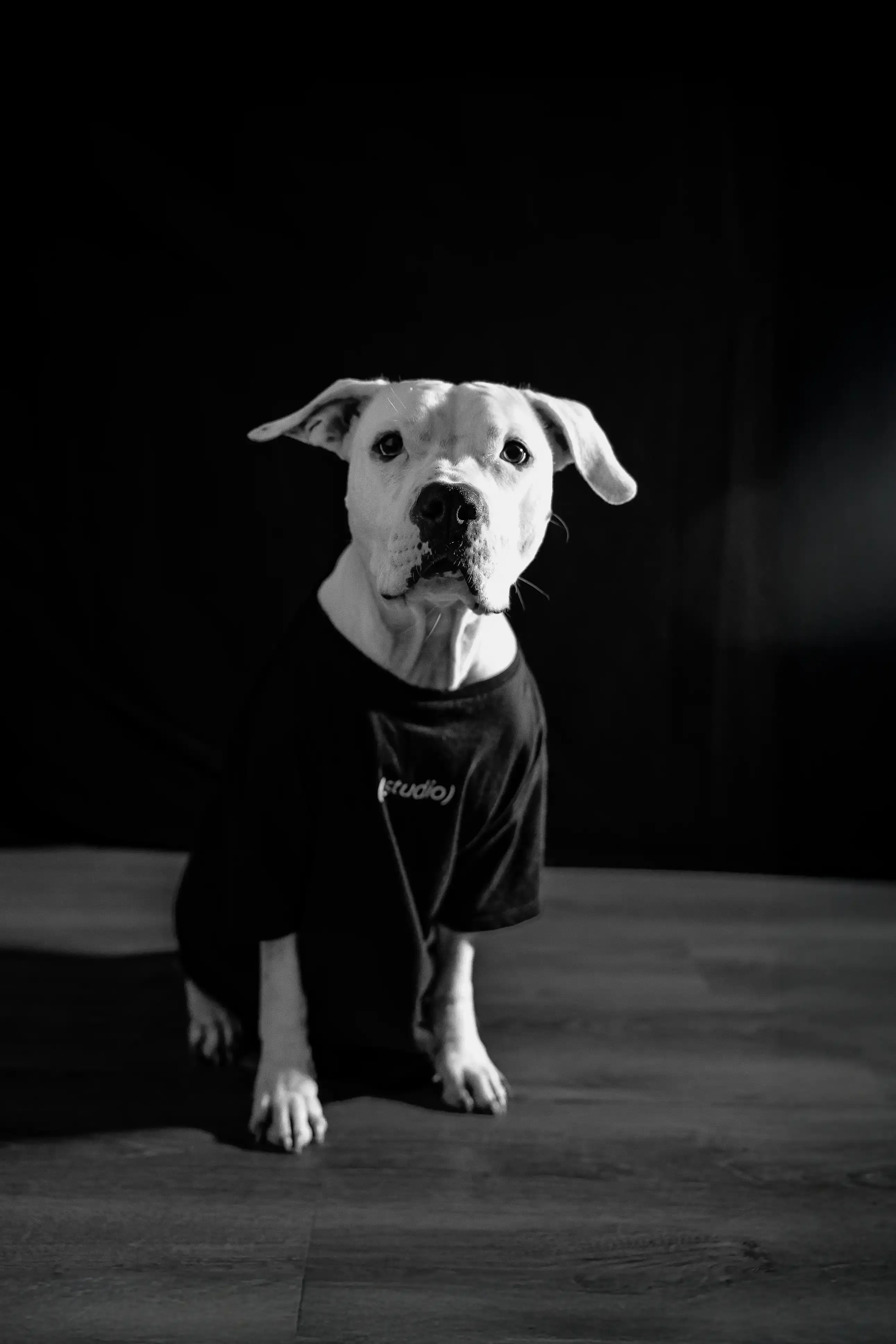 Foto di Uma per Amedani